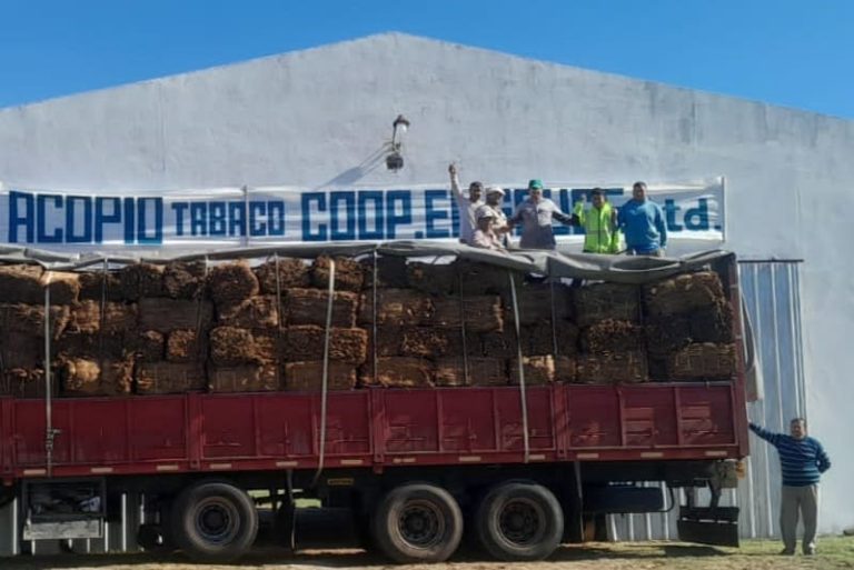 Acopian 200 toneladas de tabaco para exportación