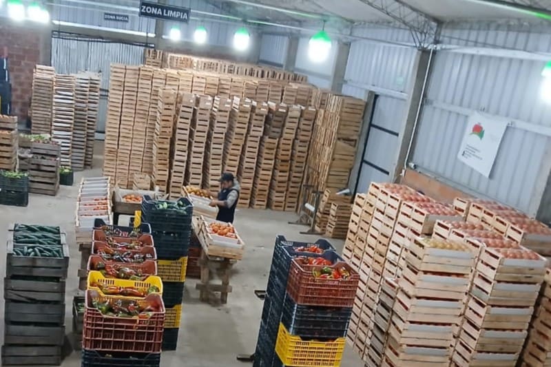 Centralizaron las cargas y reducen costos logísticos