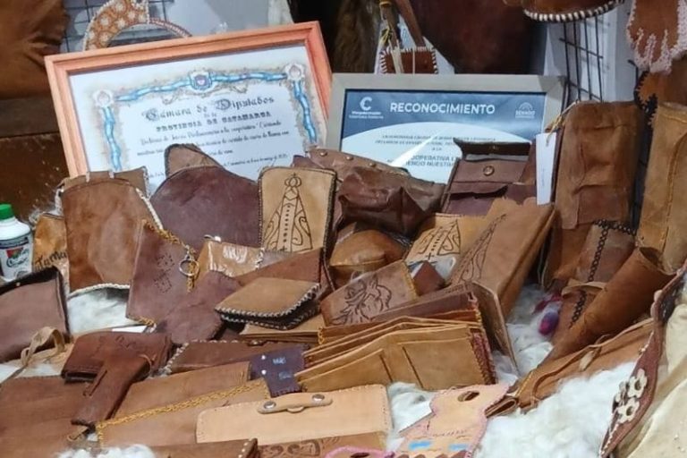 Certificarán cueros orgánicos para ampliar mercados internacionales
