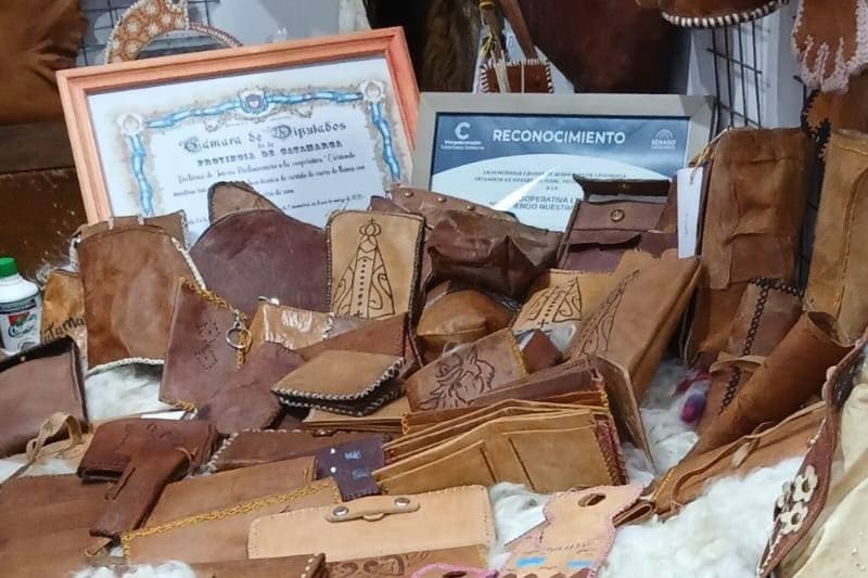 Certificarán cueros orgánicos para diversificarse hacia mercados internacionales