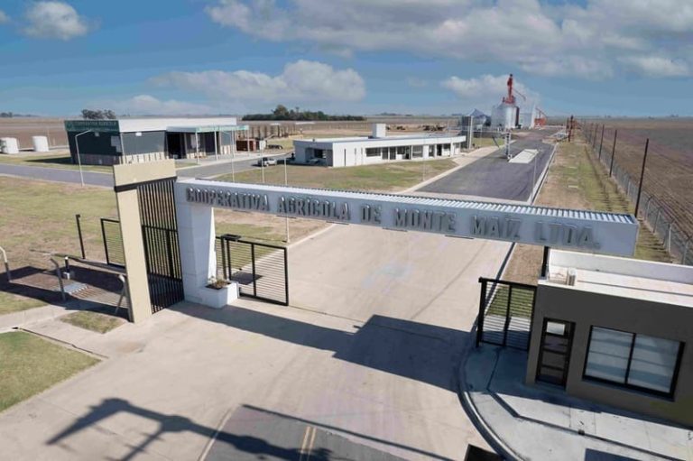 Desarrollan un sistema que integra agricultura y producción porcina