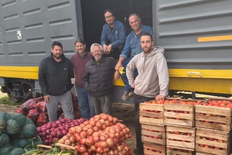 Extienden la distribución de verduras desde la comarca andina