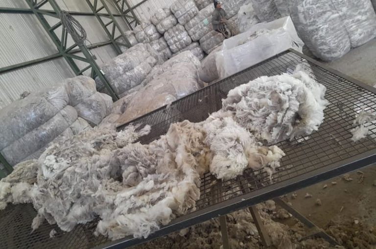 Las nevadas mejoraron las expectativas para la producción ovina