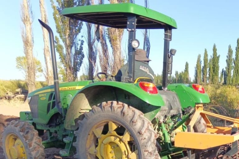 Obtuvieron autorización para cultivar cáñamo agrícola