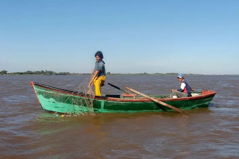 Reafirmaron su respaldo a la veda para proteger el surubí