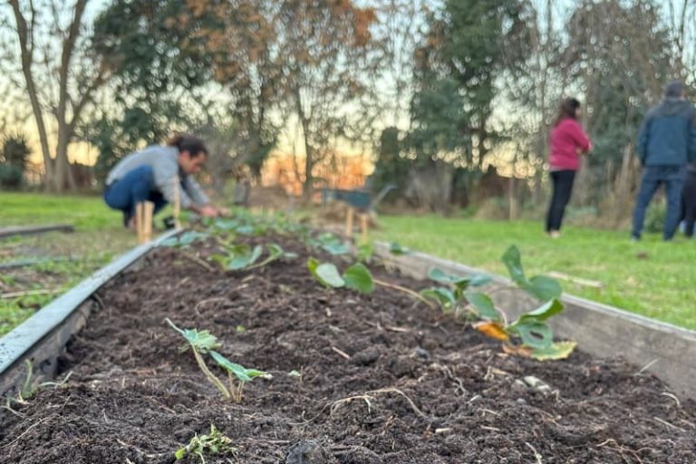 Reconstruyen un circuito directo entre campo y consumidores