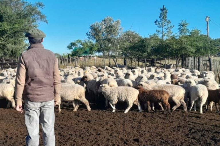 Suman asistencia técnica para productores rurales