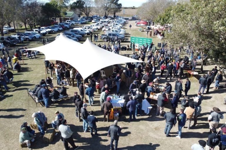 Venden reproductores con alta demanda en feria santafesina