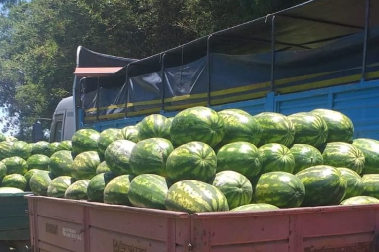 Buscan nuevos mercados para ampliar la comercialización