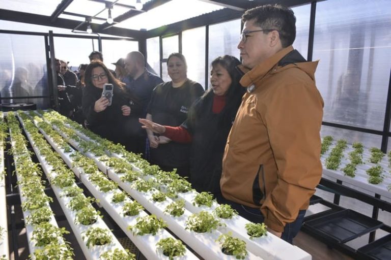 La producción hidropónica abre una nueva alternativa laboral