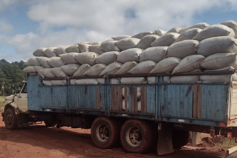 Estacionan la yerba durante más de un año antes de molerla