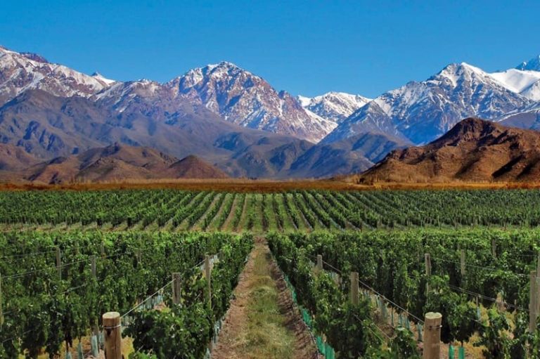 Los productores vitivinícolas sostienen una crisis prolongada