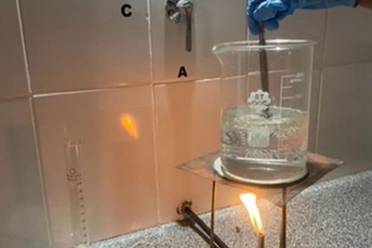 Registran en laboratorio productos derivados de la colmena