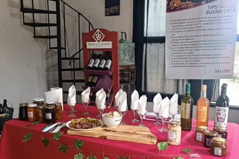 Suman degustaciones al recorrido por sus viñedos