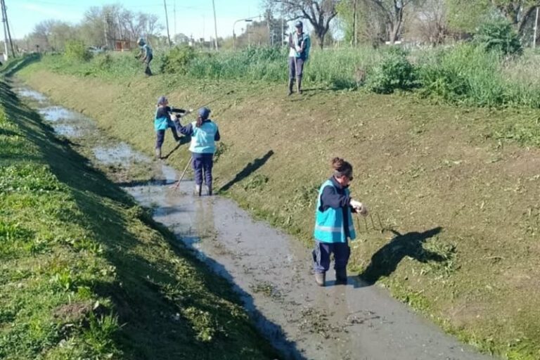 Remueven obstrucciones y sedimentos en los canales de desagüe