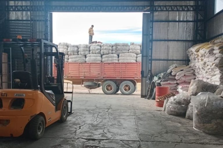 Sostienen esquema de venta conjunta para defender la producción lanera