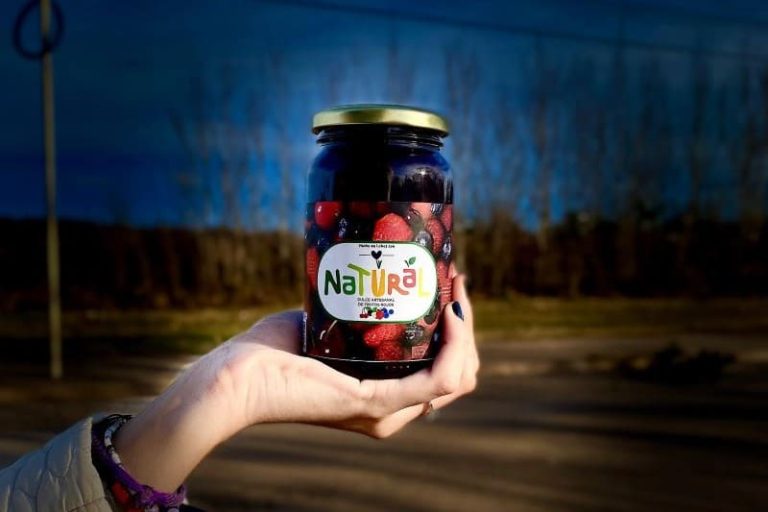 Producen alimentos saludables con trabajo colectivo