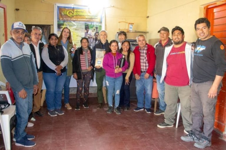 Producen infusión de algarroba como alternativa al café